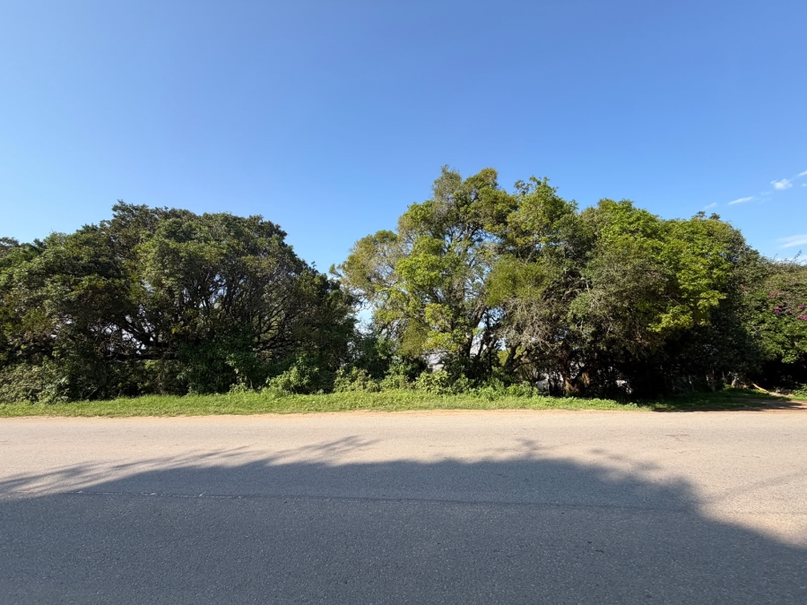 0 Bedroom Property for Sale in Bathurst Eastern Cape